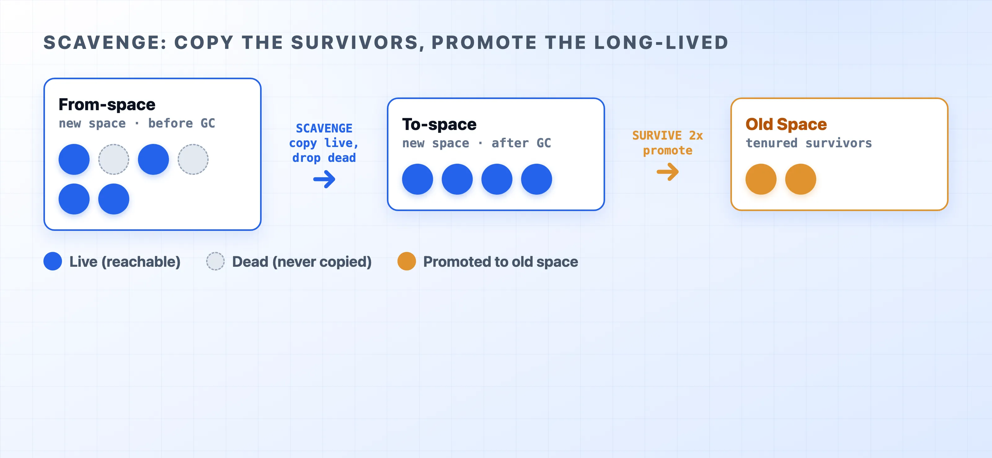 How Scavenge copies survivors and promotes them